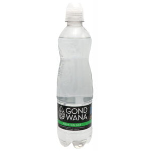 Agua Mineral Gondwana Sport - 500mL