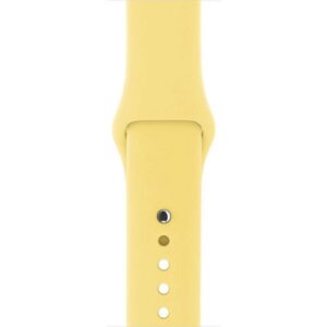 Apple Watch Pulseira Sport 42mm MPUY2AM Pólen