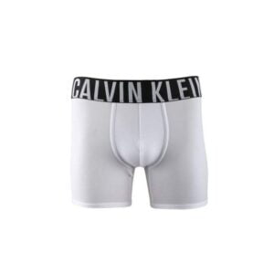 Boxer Calvin Klein NB1048 100 - Masculino