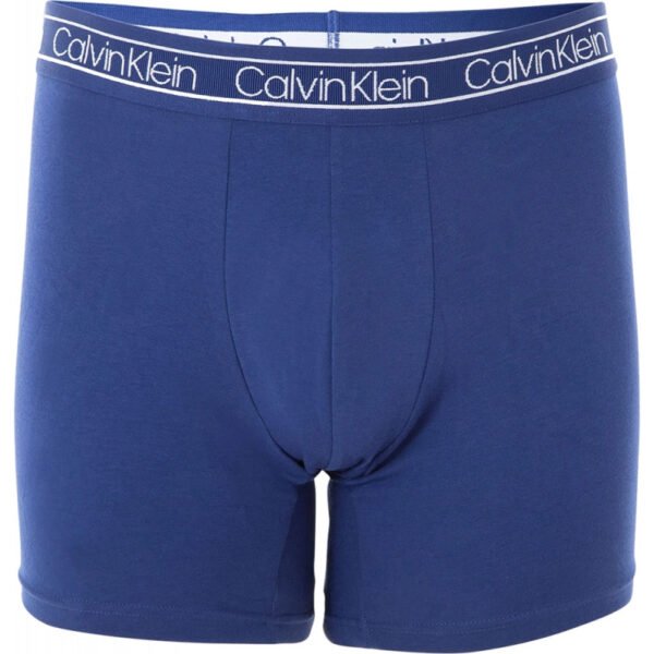 Boxer Calvin Klein NB1884-404 Masculino