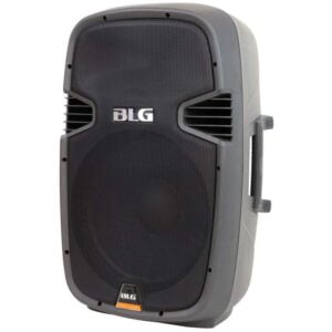 Caixa de Som BLG RSX15P770 15" 840W (Passiva)