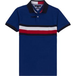 Camisa Polo Tommy Hilfiger C8878D2067 439 - Masculina