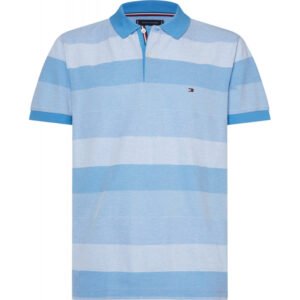 Camisa Polo Tommy Hilfiger MW0MW11606 C16 - Masculina