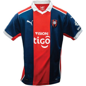 Camiseta Puma Cerro Portenho 2021 704185CV 01 - Masculina