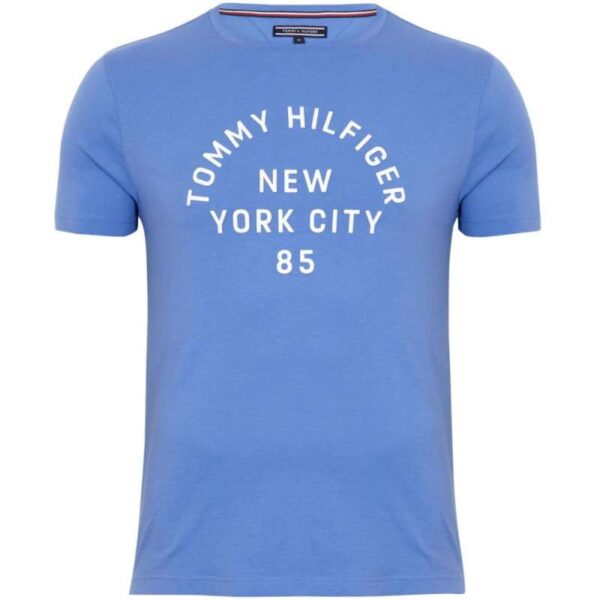 Camiseta Tommy Hilfiger MW0MW05263 494 - Masculina