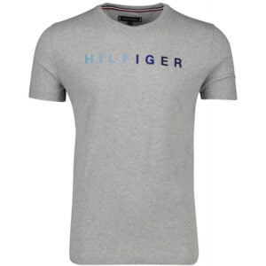 Camiseta Tommy Hilfiger   MW0MW09820 501  -  Masculina