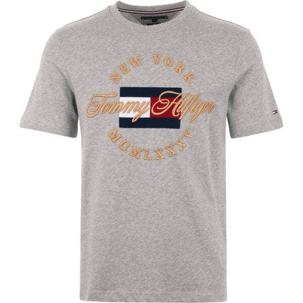Camiseta Tommy Hilfiger   MW0MW09836 501 -  Masculina