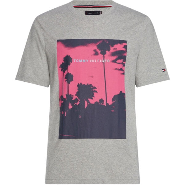 Camiseta Tommy Hilfiger MW0MW10095 501 - Masculina