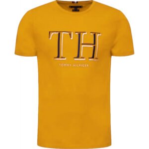 Camiseta Tommy Hilfiger   MW0MW11824 ZCM -  Masculina