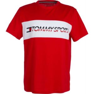 Camiseta Tommy Hilfiger S20S200082 600 - Masculina