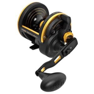 Carretilha Penn Squall SQL40LDLH