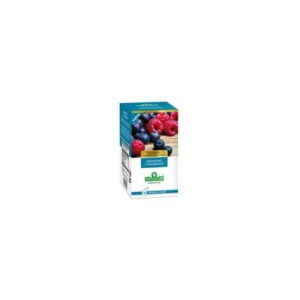 Chá Saint-Gottard Blueberry & Raspberry - 40g (20 Unidades)