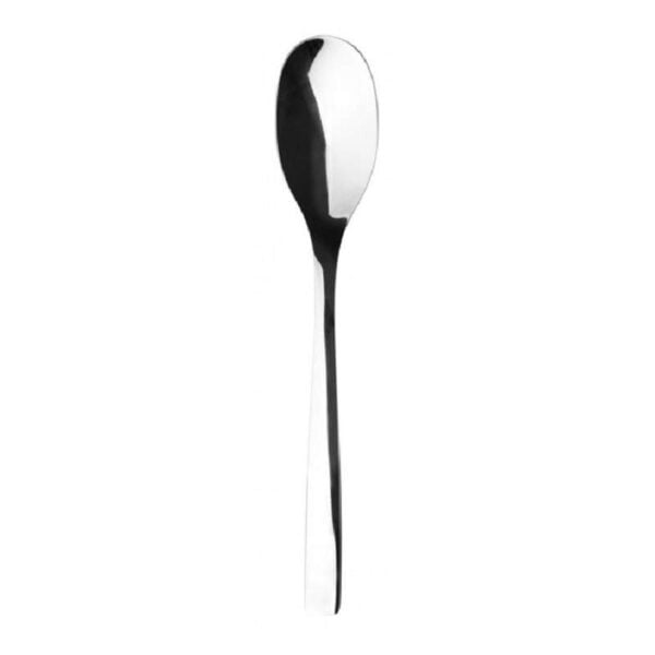 Colher Aco Inox Guest Miroir Guy Degrenne