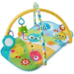 Mini Ginásio Mostrinhos Fisher Price FNF23