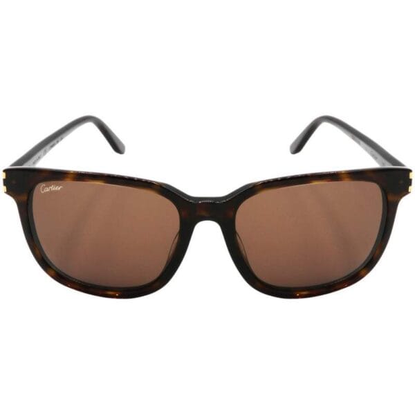 Óculos de Sol Cartier CT0001SA 002