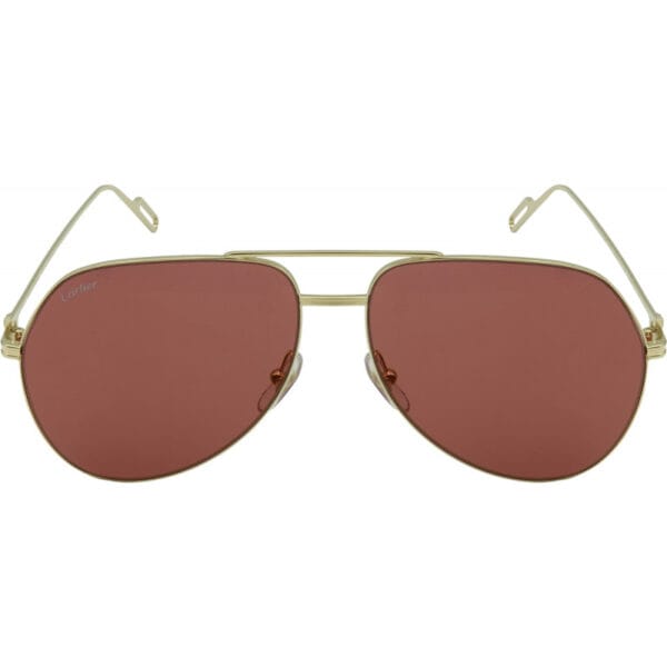 Óculos de Sol Cartier CT0110S 010