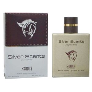 Perfume I-Scents Silver Scents EDT 100mL - Masculino
