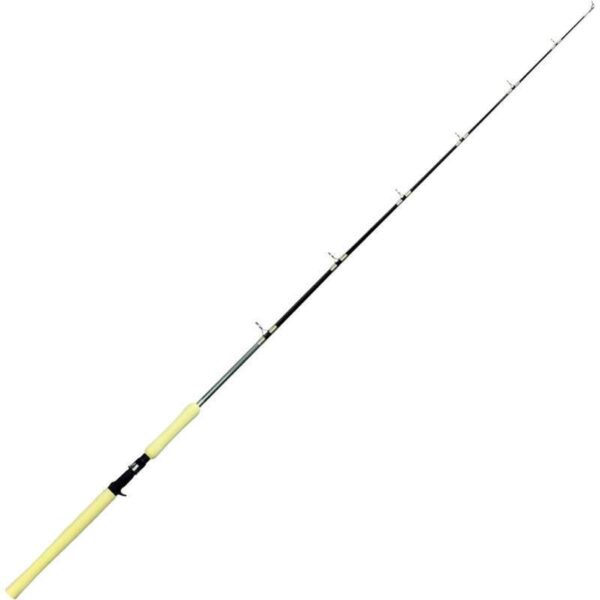 Vara Century Proxy TPX-160 20-40lbs 5'3"