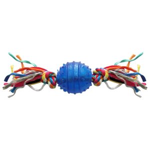 Brinquedo para cachorros Azul 6.3cm - Pawise Fetch & Play 14541