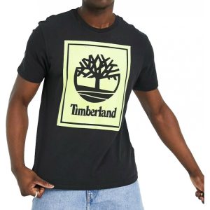 Camiseta Timberland A2AJ1 BR7 - Masculina