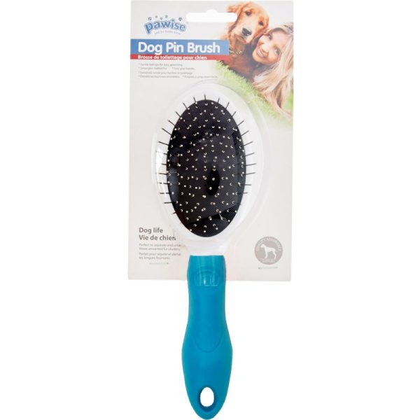 Escova de cachorro Turquesa - Pawise Dog Pin Brush 11463