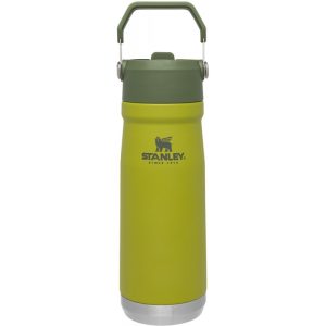 Garrafa com bico Térmica Stanley Classic The IceFlow 10-09992-033 (650mL) Aloe