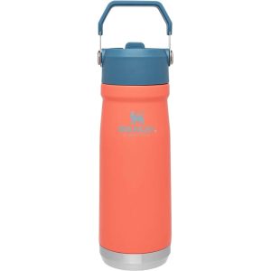 Garrafa com bico Térmica Stanley Classic The IceFlow 10-09992-057 (650mL) Guava