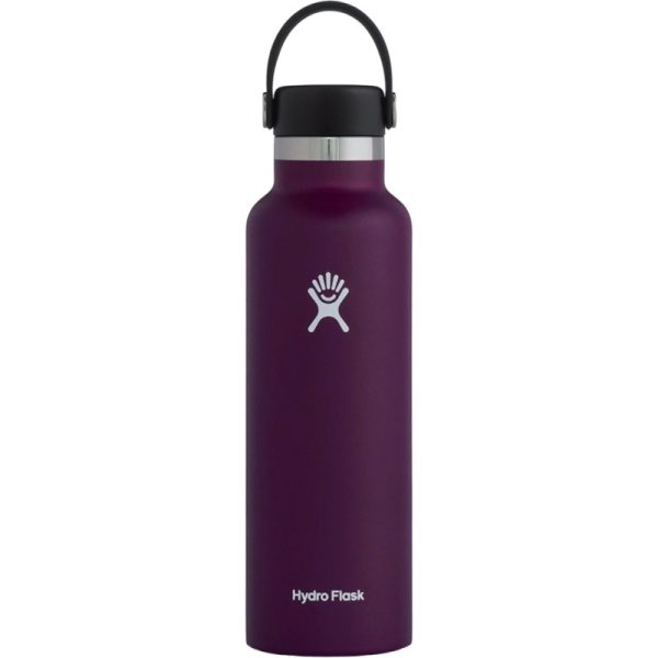 Garrafa Térmica Hydro Flask S21SX540 621mL Roxo