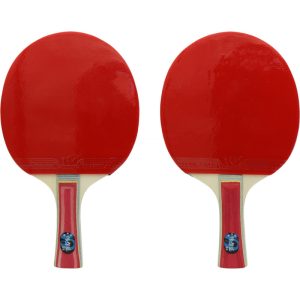 Kit para Ping Pong Weiersheng GA819-3E288