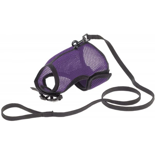 Peitoral para Gatos Roxo - Pawise Jogging Harness 39084