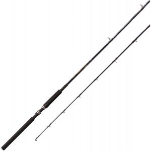 Vara Quantum Controller CNSAL862M 2.59m 10-20lb (Molinete)